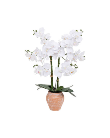 Orquídea Decorativa de 65 cm