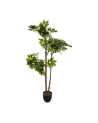 Planta Decorativa Schefflera de 130 cm