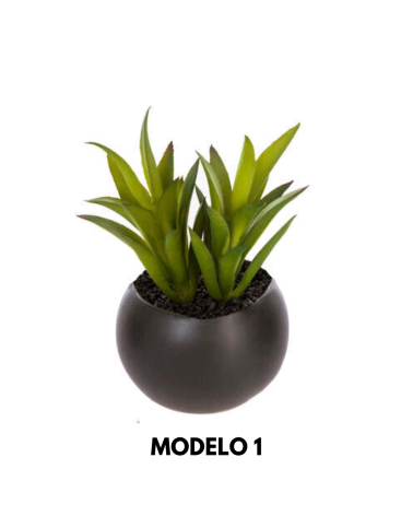 Planta Decorativa de 11 cm - Varios Modelos