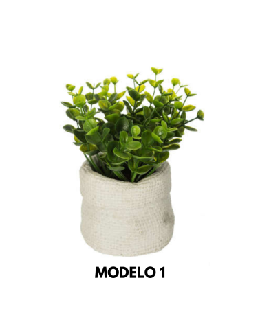 Planta Decorativa de 16 Cm - Varios Modelos