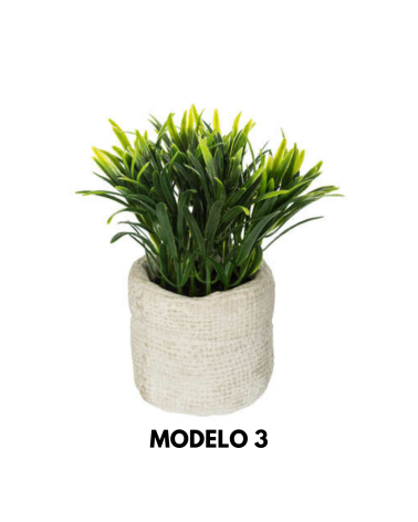 Planta Decorativa de 16 Cm - Varios Modelos