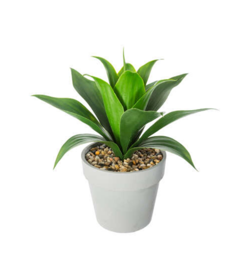 Aloe Vera Decorativo de 35 Cm