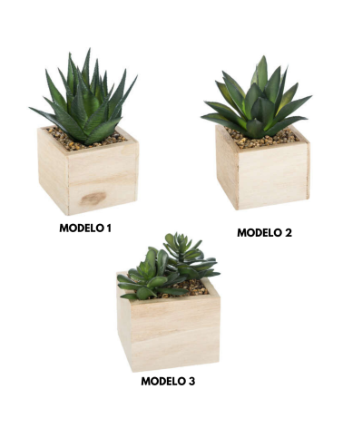 Aloe Vera Decorativo de 15 cm - Varios Modelos