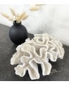 Figura Decorativa de Coral Bajo de Resina