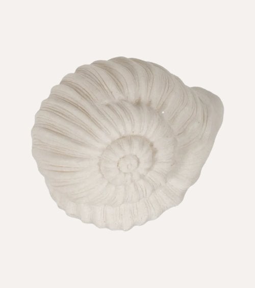 Lámpara de Caracol Marino de Resina