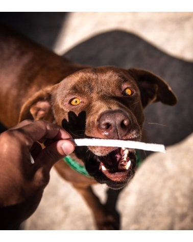 Premio para Perros Twist Sticks de Cuero de Ternera