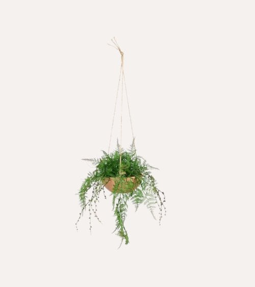 Planta Decorativa Helecho con Aspecto Realista de Plástico